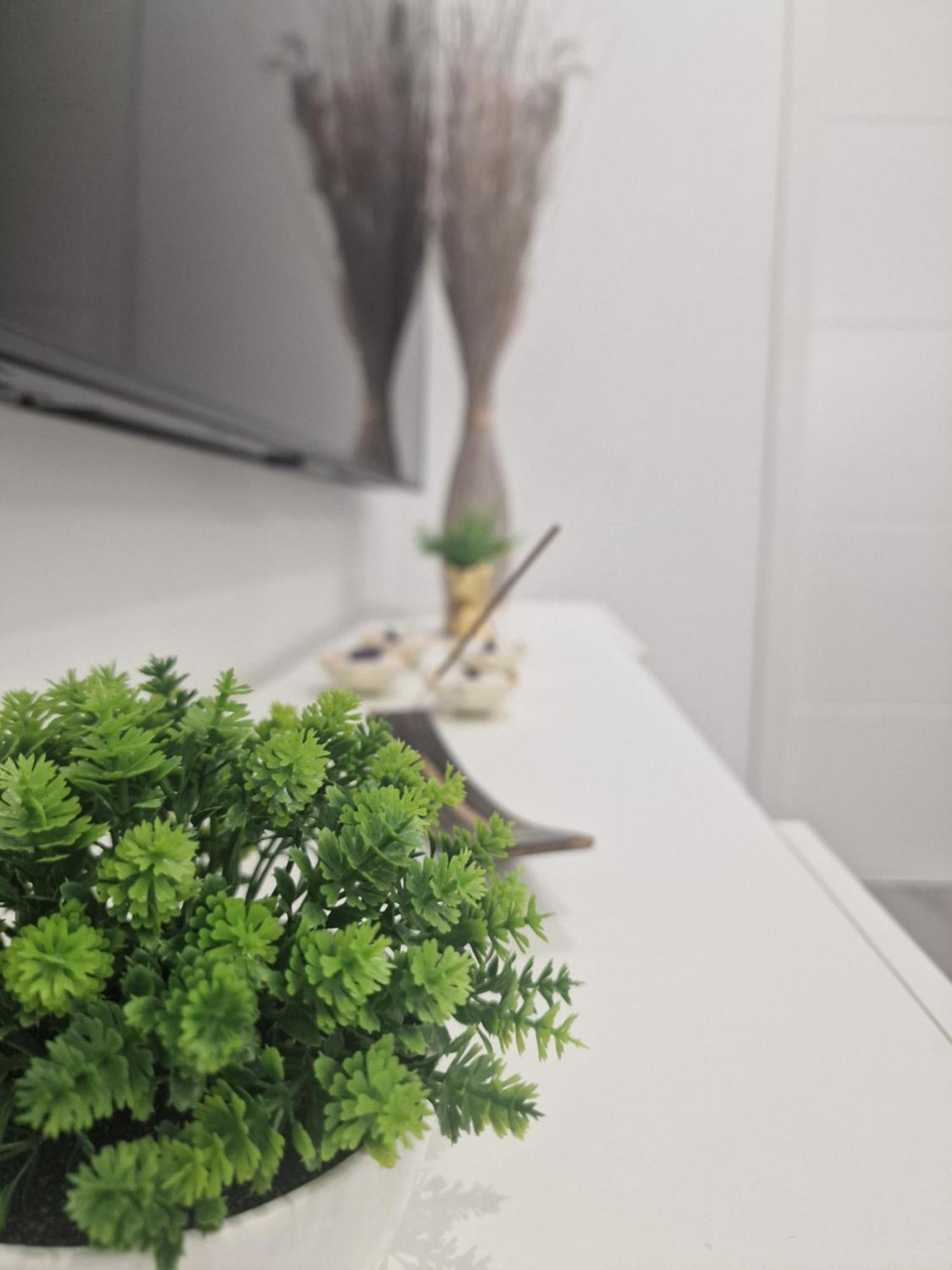 Barcelona, Apartamento De 1 Habitacion Daire L'Hospitalet de Llobregat Dış mekan fotoğraf